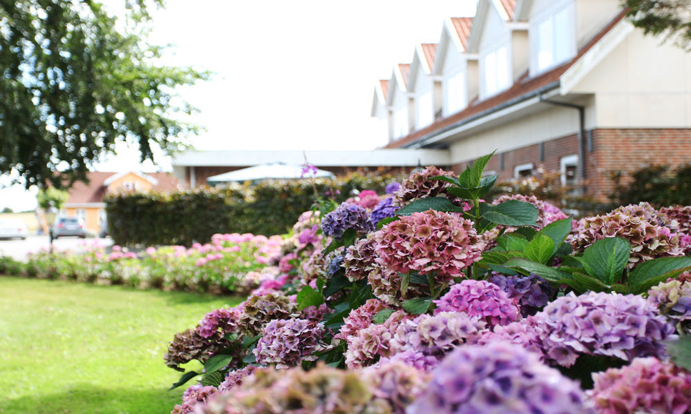 Fangel Kro & Hotel Bellinge ภายนอก รูปภาพ